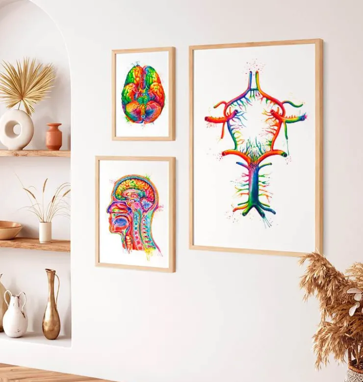 Cercle de Willis - Aquarelle-Codex Anatomicus