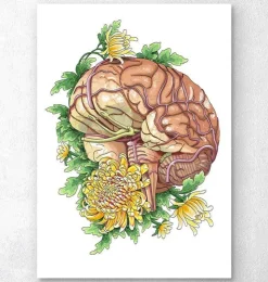 Cerveau avec des fleurs-Codex Anatomicus Best