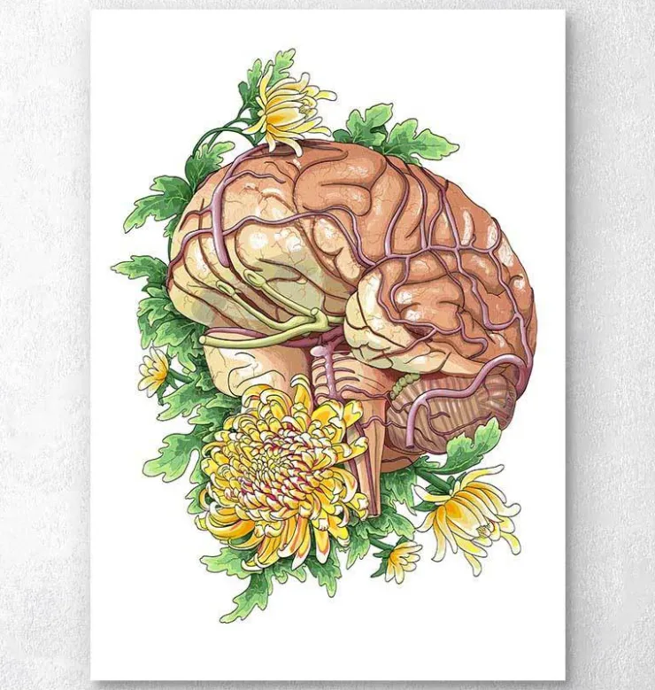 Cerveau avec des fleurs-Codex Anatomicus Best