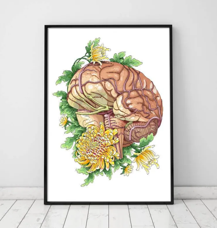 Cerveau avec des fleurs-Codex Anatomicus Best