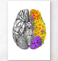 Cerveau avec des fleurs - Blanc-Codex Anatomicus Discount