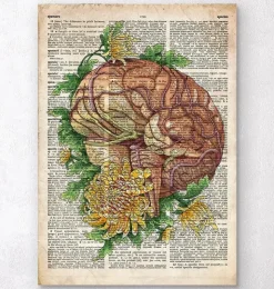 Cerveau avec des fleurs - Anciene dictionnaire-Codex Anatomicus Clearance