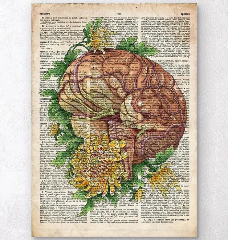 Cerveau avec des fleurs - Anciene dictionnaire-Codex Anatomicus Clearance