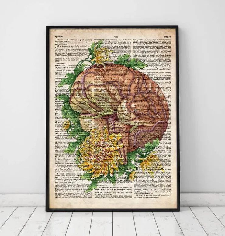 Cerveau avec des fleurs - Anciene dictionnaire-Codex Anatomicus Clearance