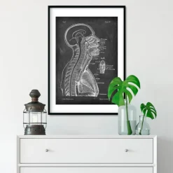 Cerveau et moelle épinière - Chalkboard-Codex Anatomicus Discount