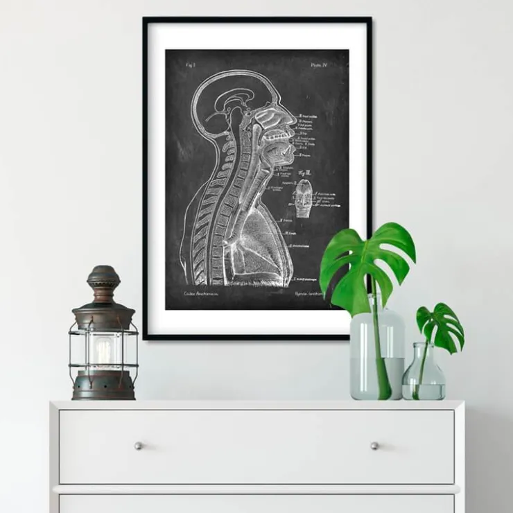 Cerveau et moelle épinière - Chalkboard-Codex Anatomicus Discount