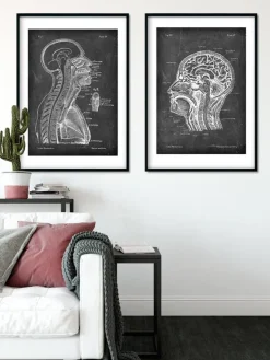Cerveau et moelle épinière - Chalkboard-Codex Anatomicus Discount
