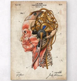 Cerveau Steampunk II-Codex Anatomicus Best