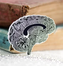 Cerveau sur tableau noir - Pins-Codex Anatomicus Discount