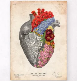Coeur anatomique avec fleurs - Vieux papiers-Codex Anatomicus Best