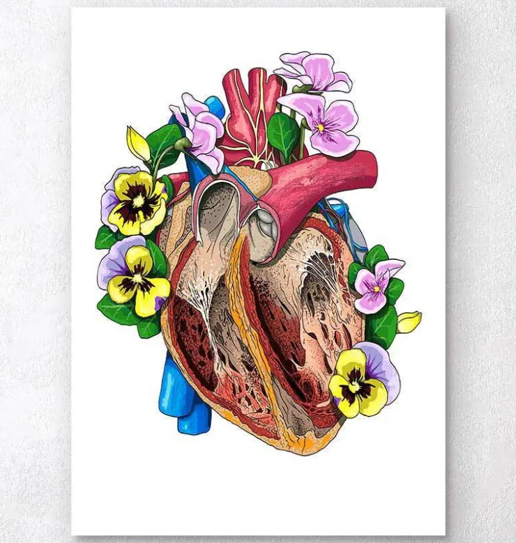Coeur avec fleurs II-Codex Anatomicus Best