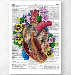 Coeur avec fleurs II - Dictionnaire-Codex Anatomicus Hot