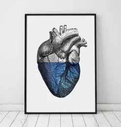 Coeur coloré - Bleu-Codex Anatomicus Outlet