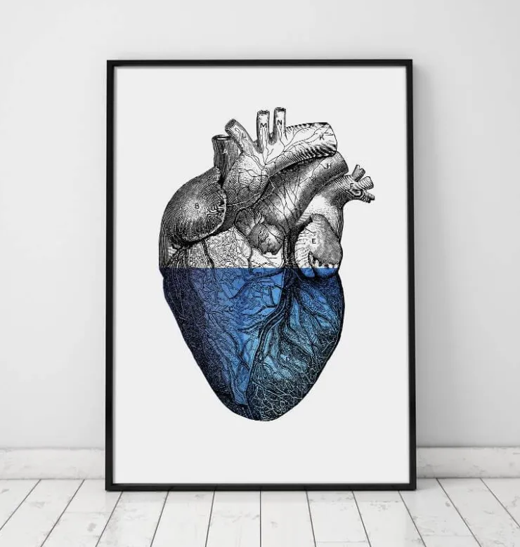 Coeur coloré - Bleu-Codex Anatomicus Outlet