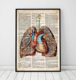 Coeur et poumons géométriques - Dictionnaire-Codex Anatomicus Clearance