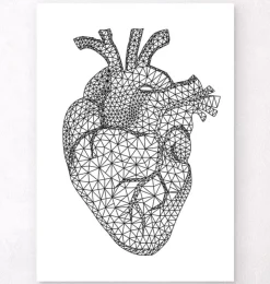 Coeur géométrique minimal-Codex Anatomicus Sale