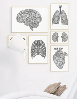Coeur géométrique minimal-Codex Anatomicus Sale