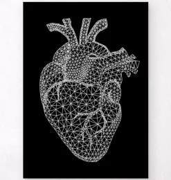 Coeur géométrique minimal - Noir-Codex Anatomicus Online