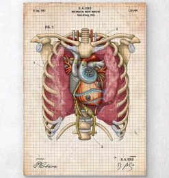 Coeur mécanique II-Codex Anatomicus