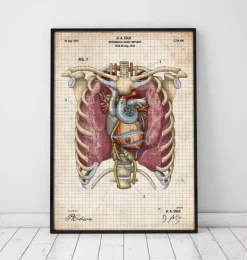 Coeur mécanique II-Codex Anatomicus