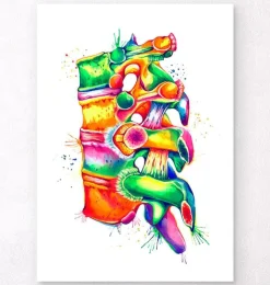Colonne vertébrale II - Aquarelle-Codex Anatomicus
