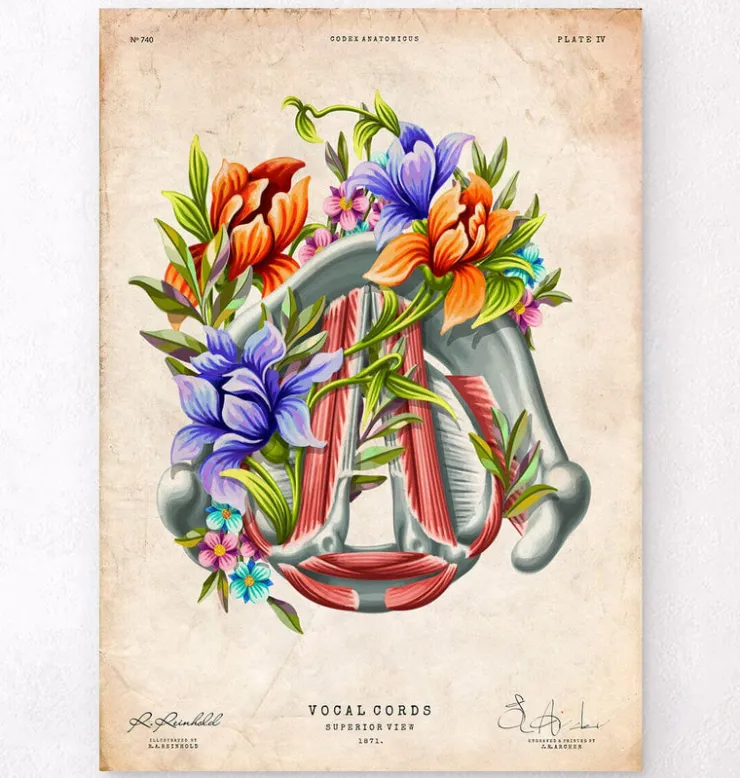 Cordes vocales - Floral - Vintage-Codex Anatomicus New