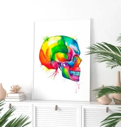 Crâne - Aquarelle-Codex Anatomicus
