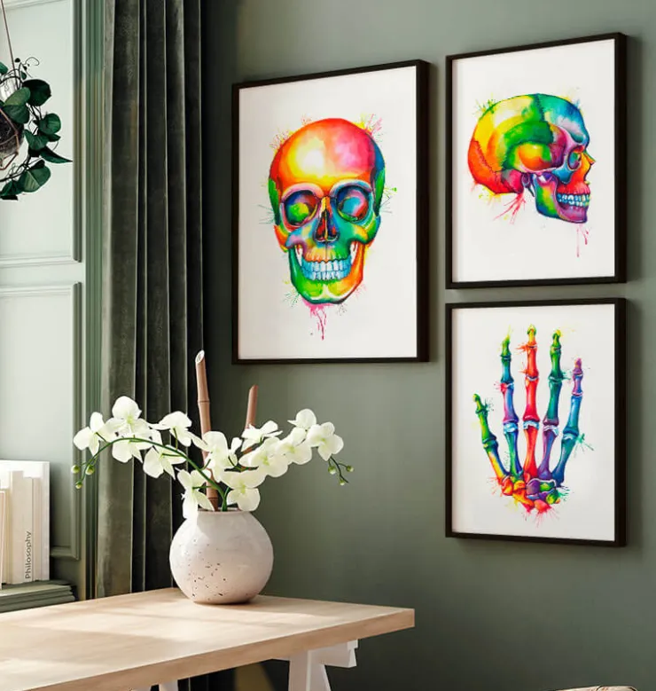 Crâne - Aquarelle-Codex Anatomicus