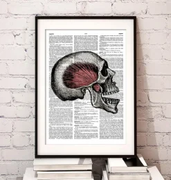 Crâne - Page Dictionnaire-Codex Anatomicus Sale