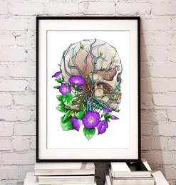 Crâne avec des fleurs-Codex Anatomicus Discount
