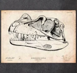 Crâne de dinosaure-Codex Anatomicus Hot