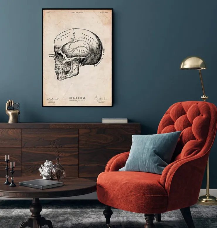 Crâne humain imprimé IX-Codex Anatomicus Online