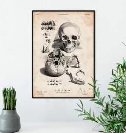 Crâne humain imprimé IX-Codex Anatomicus Discount