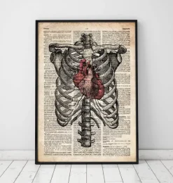 Cœur et cage thoracique - Art de l'anatomie-Codex Anatomicus Sale