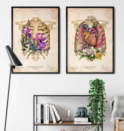 Cœur, poumons et cage thoracique - Vieux papiers-Codex Anatomicus Discount
