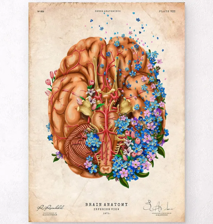 Démence - Floral - Vintage-Codex Anatomicus Outlet