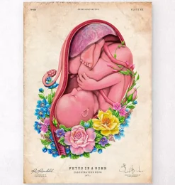 Foetus in a utérus - Floral - Vieux papier-Codex Anatomicus Discount