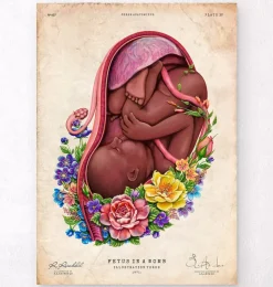 Foetus in a utérus - Floral - Blanc-Codex Anatomicus Best