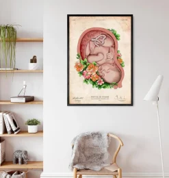 Foetus in a utérus II - Vieux papier-Codex Anatomicus New