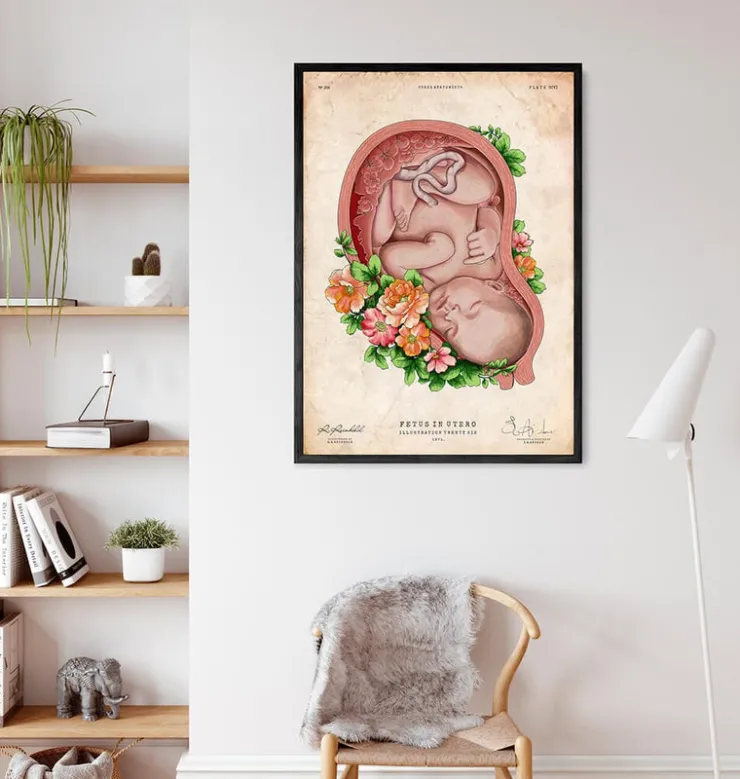 Foetus in a utérus II - Vieux papier-Codex Anatomicus New