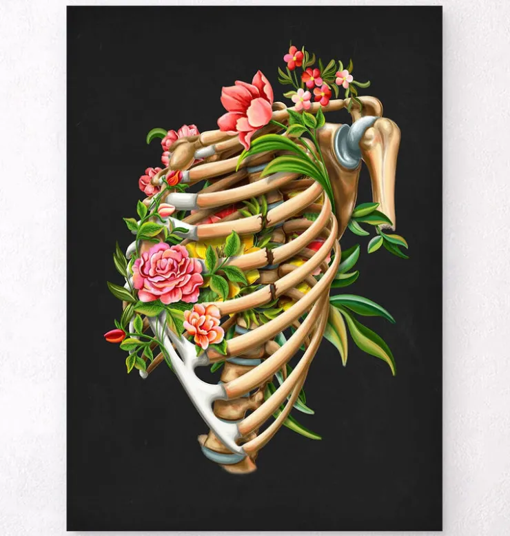 Fracture des côtes - Floral - Noir-Codex Anatomicus