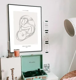 Fœtus - Line Art-Codex Anatomicus Online