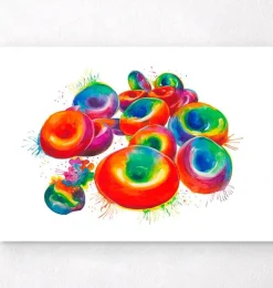 Globules rouges - Aquarelle-Codex Anatomicus Online