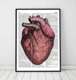 Heart anatomy II - Page du dictionnaire-Codex Anatomicus Best