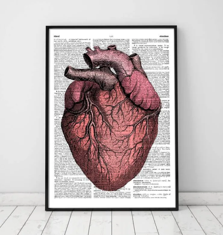 Heart anatomy II - Page du dictionnaire-Codex Anatomicus Best