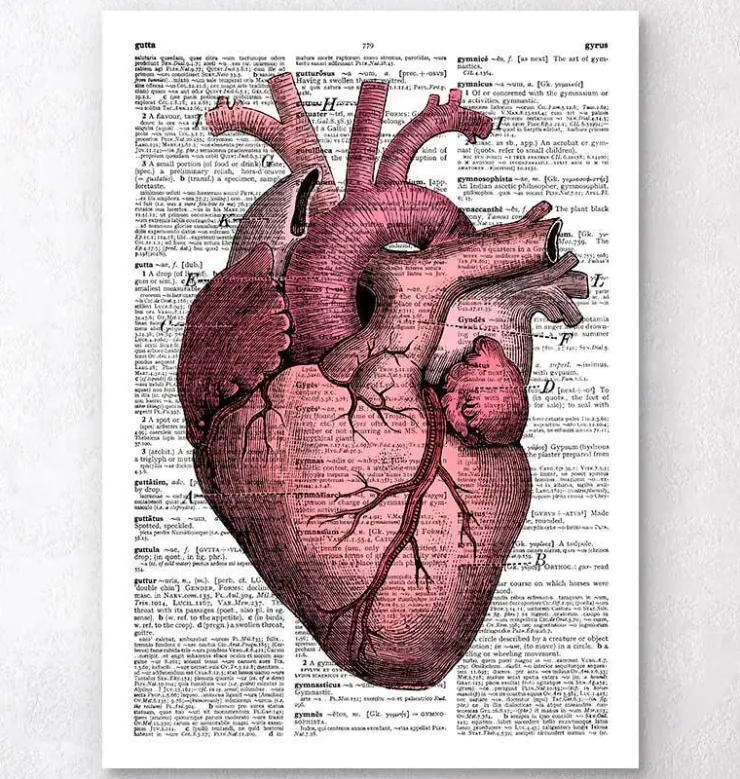 Heart anatomy III - Page du dictionnaire-Codex Anatomicus Best