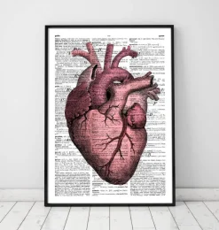 Heart anatomy III - Page du dictionnaire-Codex Anatomicus Best