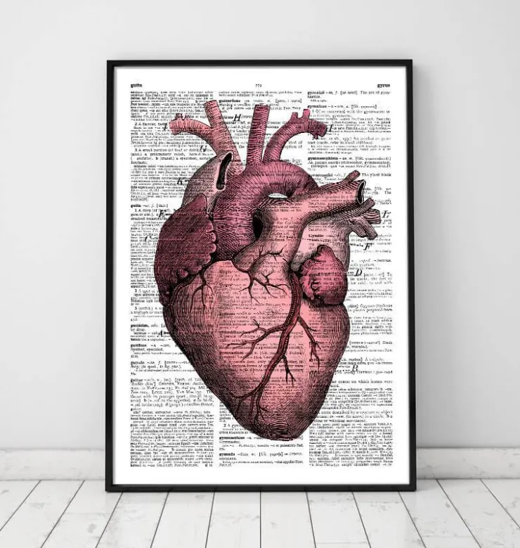 Heart anatomy III - Page du dictionnaire-Codex Anatomicus Best