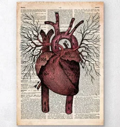 Heart II - Page du dictionnaire-Codex Anatomicus New