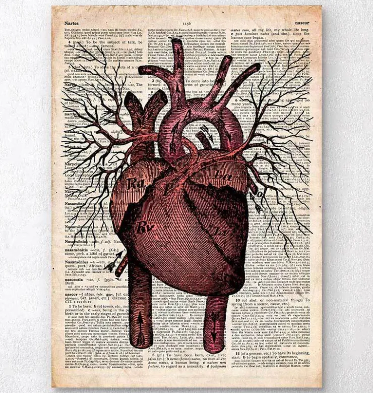 Heart II - Page du dictionnaire-Codex Anatomicus New